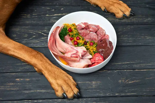 Natural raw organic dog food in bowl on black wooden floor and dog's paws on background