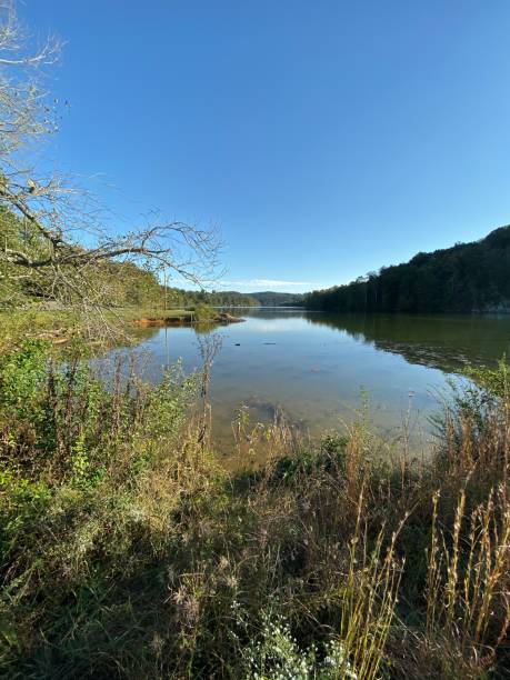 istock Clinch River in Knoxville TN 1201534069