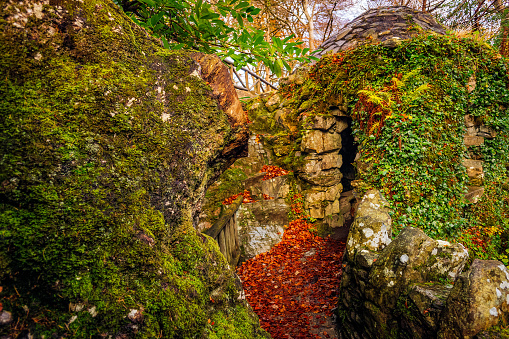 Stone old ruin of hut with green mossy rocks in Tollymore Forest Park in autumn, Newcastle, County Down, Northern Ireland