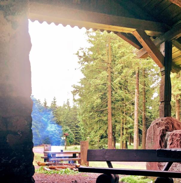 istock Sleep in a woodcabin 1201536801