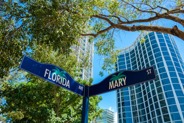 istock Coconut Grove Cityscape 1201537442