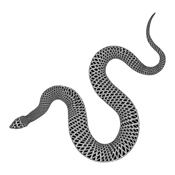 Vector illustration of Snake drawing illustration. Black serpent isolated on a white background tattoo design. Venomous reptile, drawn witchcraft, voodoo magic attribute for Halloween.  Vector.