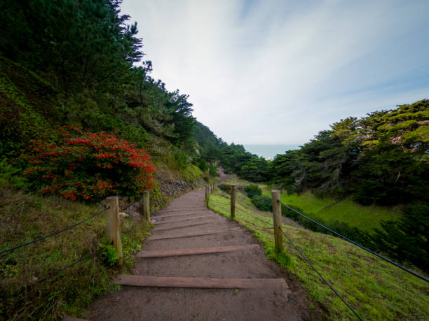 istock walking trail at Land’s End in San Francisco 1201540711