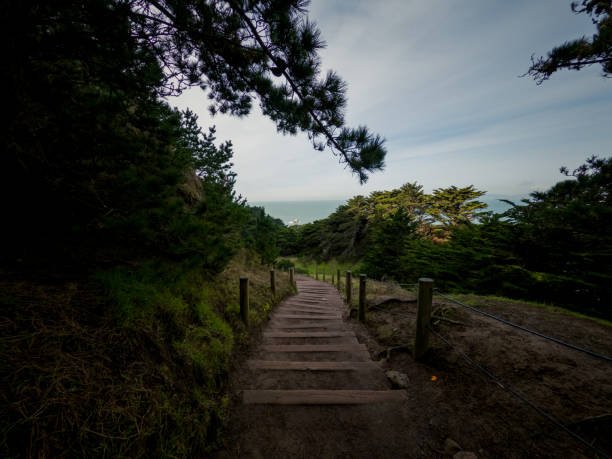 istock walking trail at Land’s End in San Francisco 1201540736
