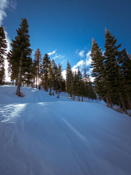 istock Ski slope in Lake Tahoe 1201540967
