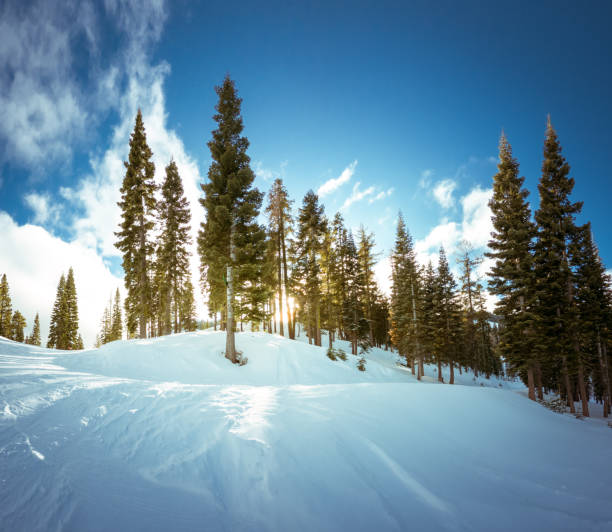 istock Ski slope in Lake Tahoe 1201540981