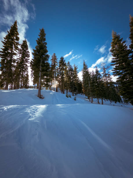 istock Ski slope in Lake Tahoe 1201541001