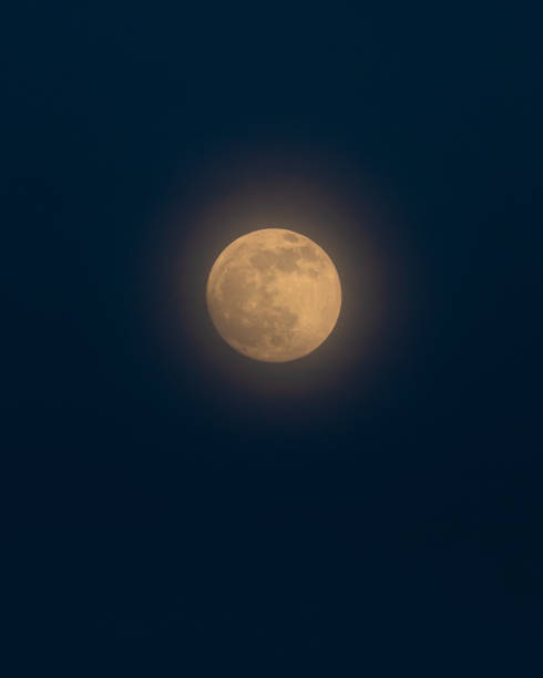 istock Full moon during blue hour just after dusk. 1201543598