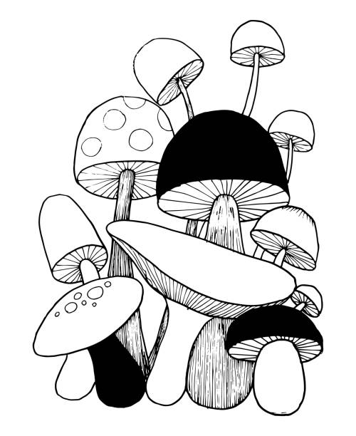 istock Mushroom doodles vector for coloring book. Isolated illustration on white background. 1201544756