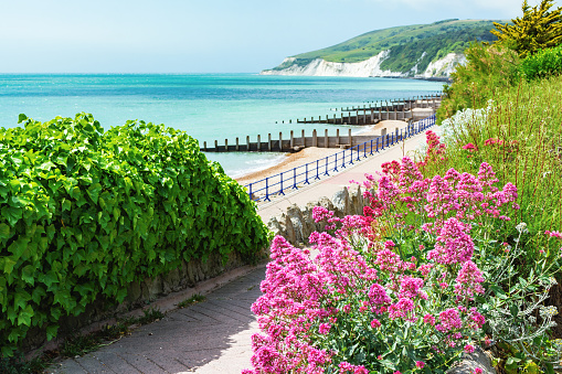 Walk to Holywell beach in Eastbourne, East Sussex, England, view of the sea, cliffs, groynes, selective focus
