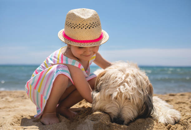 istock Cute playful child embracing a dog on a beach 1201546285