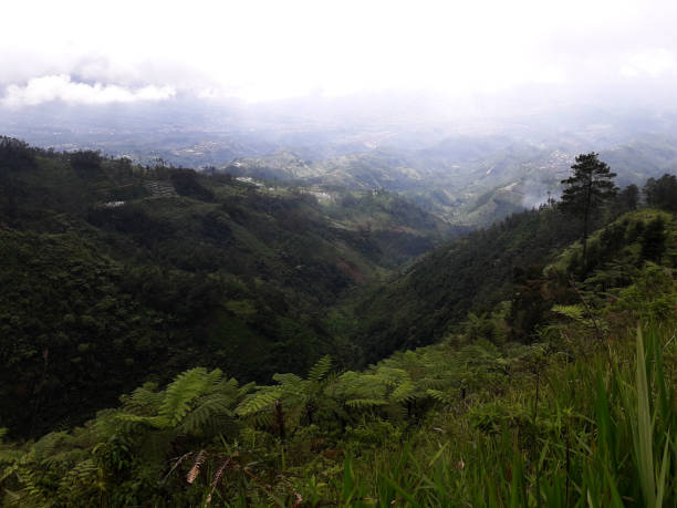 istock Amazing nature indonesia beatiful lanscape 1201563986
