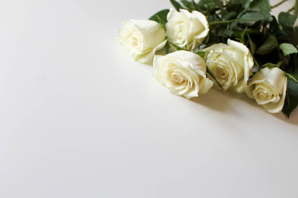istock Bunch of white roses on blank surface with copy space for text 1201569233