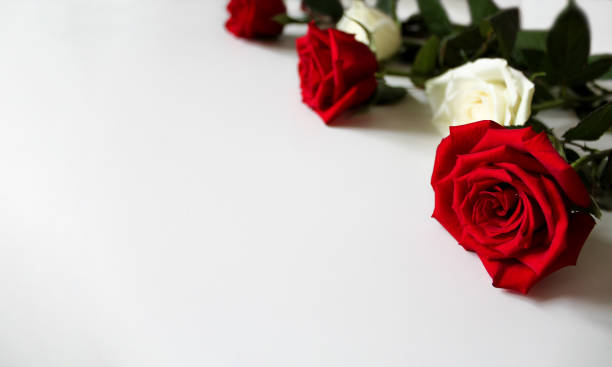 istock Bunch of red and white roses on blank surface with copy space for text 1201569237