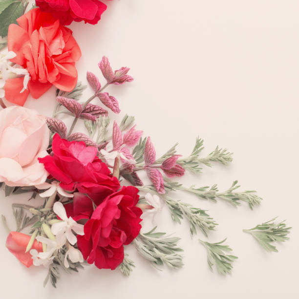 istock rose flowers and leaves on white background 1201579065