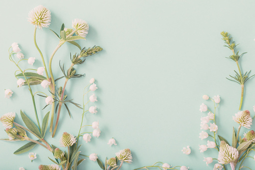 wild flowers on green paper background