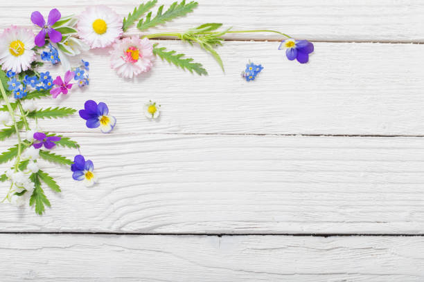 istock beautiful flowers on wooden background 1201579122
