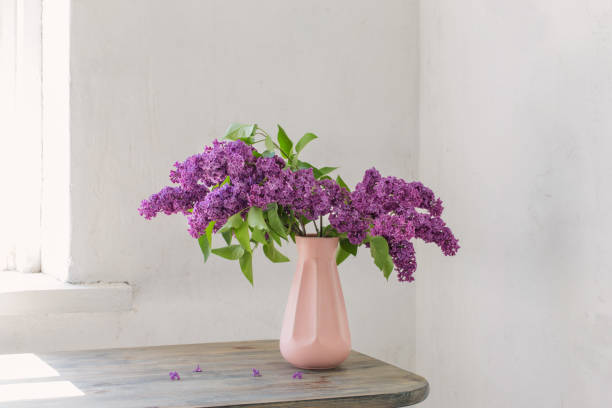 istock lilac in vase on background old white wall 1201579123