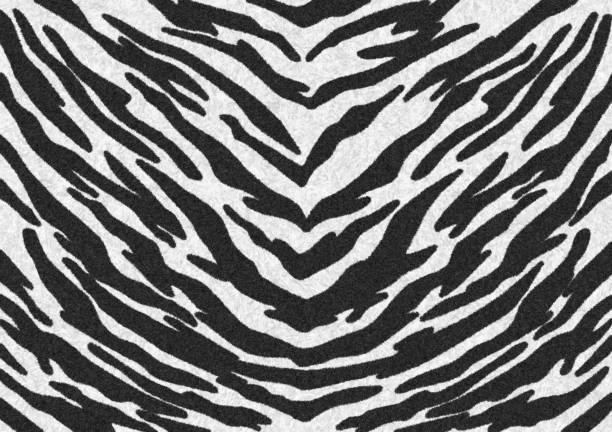 schwarz-weiß tiger druck pelz textur, teppich tier haut hintergrund, schwarz und weiß thema farbe, aussehen glatt, flauschig und weich, mode kleidung textilkonzept. design mit photoshop-pinsel. - tiger skin stock-fotos und bilder