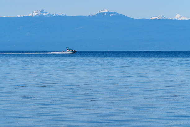 Speed boat with view of snow capped mountains, blue ocean and blue sky Speed boat with view of snow capped mountains, blue ocean and blue sky colwood photos stock pictures, royalty-free photos & images