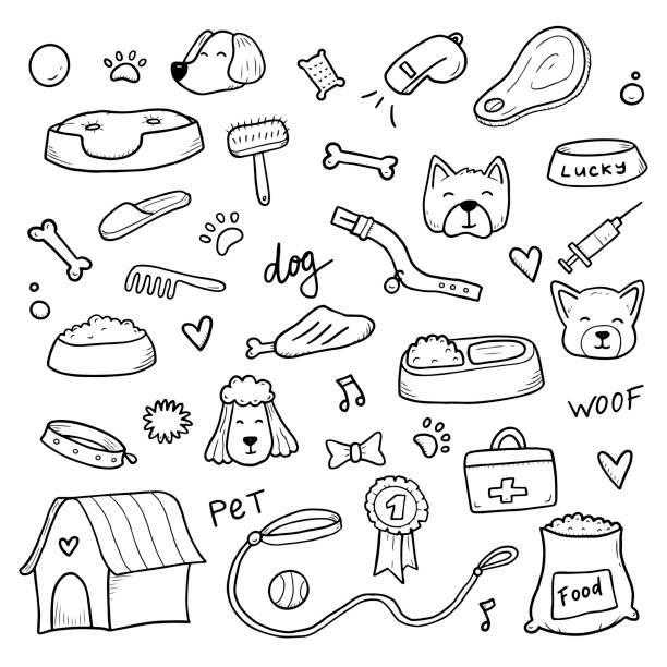 Hand drawn set of dog doodle Hand drawn set of dog and pet accessories elements, bone, food, leash. For the design of dog themes, training, caring, grooming a dog. Doodle sketch style vector illustration. Canine stock illustrations