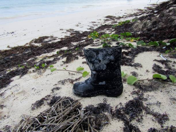 black boot waste after storm on sandy beach - uncultivated meteorology weather sea imagens e fotografias de stock