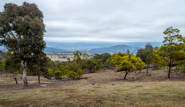 istock Australian bush clearing, featuring distant rolling hills, rugged landscape and patchy woodlands 1201598792
