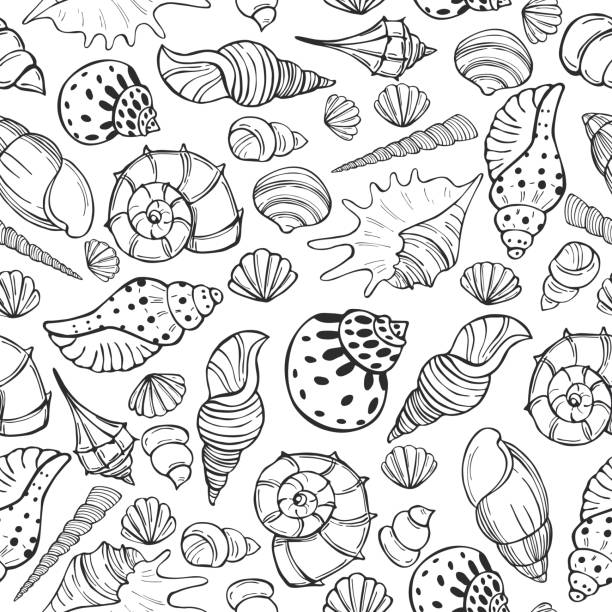 illustrations, cliparts, dessins animés et icônes de modèle de vecteur avec des coquillages. - vacations nature shell snail