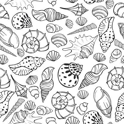 Vector  seamless pattern with hand drawn seashells.