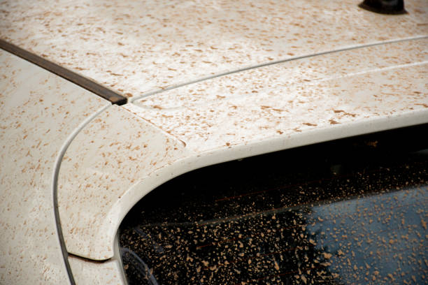 istock A white car coated in dust after dust storms in Sydney, Australia 1201607336