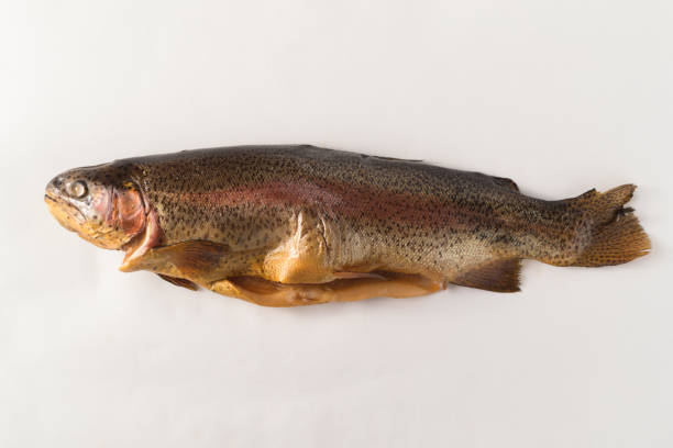 istock Cold smoked rainbow trout on a white background 1201611449