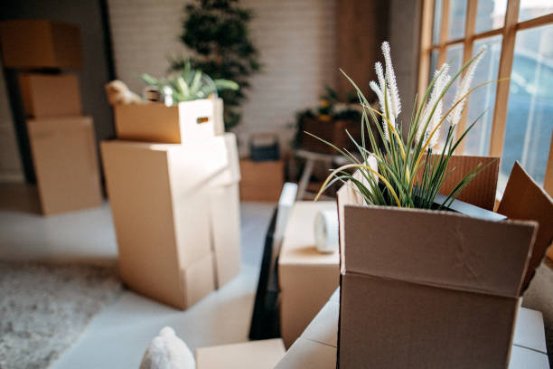 istock Moment of relocation 1201615041
