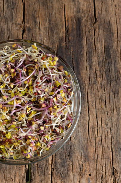 istock Closeup of Bowl Alfalfa Sprouts 1201615461