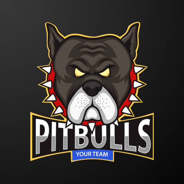 Pitbull Head Mascot, logo for a sport team. vector illustration of Pitbull Head Mascot, logo for a sport team. pit bull power stock illustrations