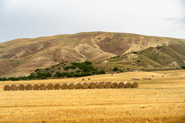 istock Rural landscape in Matera province at summer 1201631103