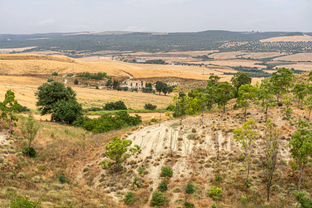 istock Rural landscape in Basilicata at summer 1201631693