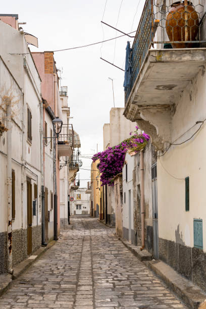 istock Bernalda, historic town in Basilicata 1201631912