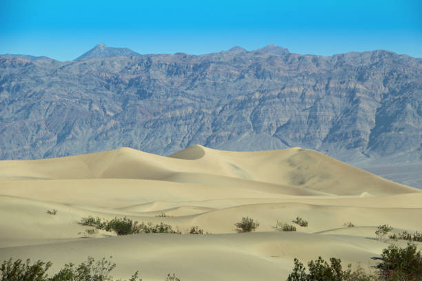 большая песчаная дюна в долине смерти nationalpark в сша - sand dune audio стоковые фото и изображения