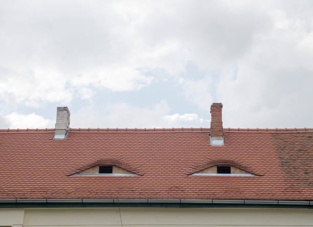 istock Two dormers with windows on repaired brown ceramic roof in Romania 1201642509