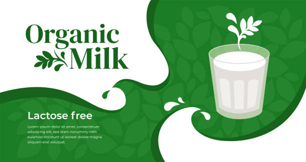 ilustraciones, imágenes clip art, dibujos animados e iconos de stock de ilustración orgánica de leche libre de lactosa - soybean merchandise soy milk milk