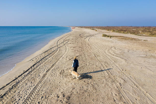 istock Young Woman with her dog on the beach 1201645336