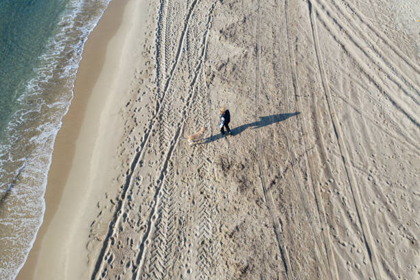 istock Young Woman with her dog on the beach 1201645360