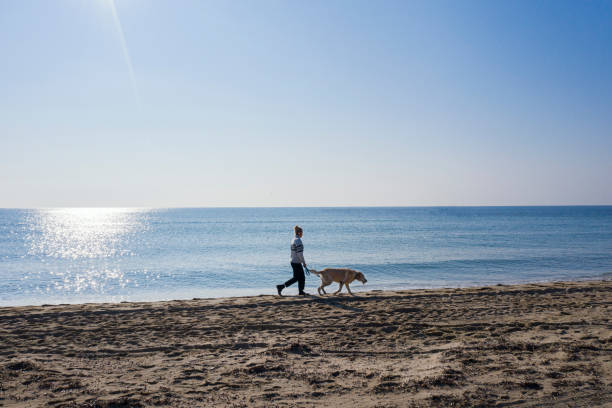 Young Woman spending time with her dog on the beach