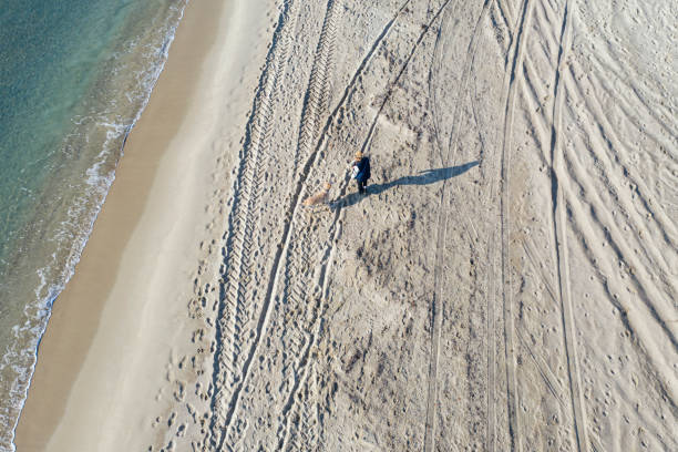 istock Young Woman with her dog on the beach 1201645500