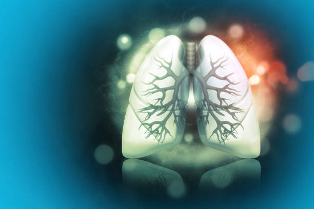 Human lungs on scientific background Human lungs on scientific background asthmatic photos stock pictures, royalty-free photos & images