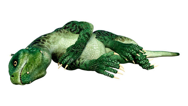 istock 3D illustration fantasy dragon on white 1201650822