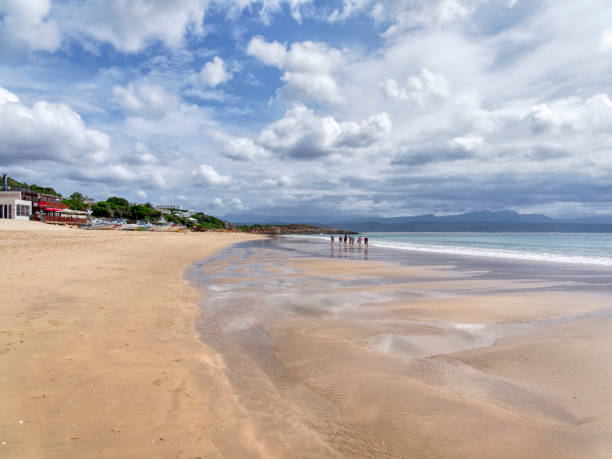 dunkle wolken sammeln sich über der plettenburger bucht - plettenberg bay tourist resort south africa coastline stock-fotos und bilder