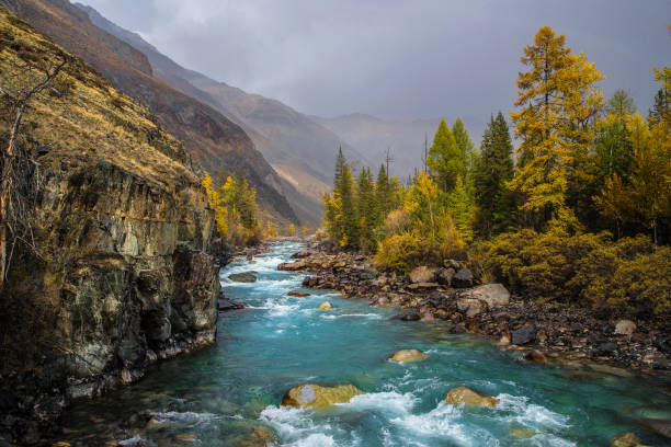 fiume argut. - larch tree stone landscape sky foto e immagini stock