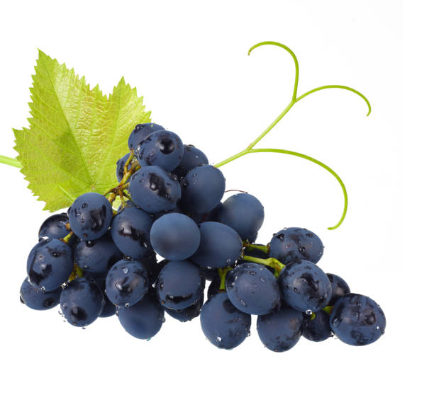 istock blue grapes berries with leaves isolated on white background 1201650976