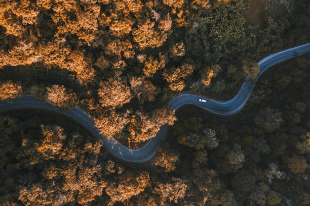 istock Summer forest aerial view and Road Thailand mountains 1201651118